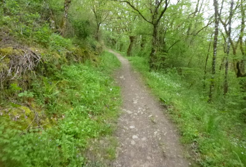 Rando des Badrais - St Didier Sous Riverie - 24 avril 2016